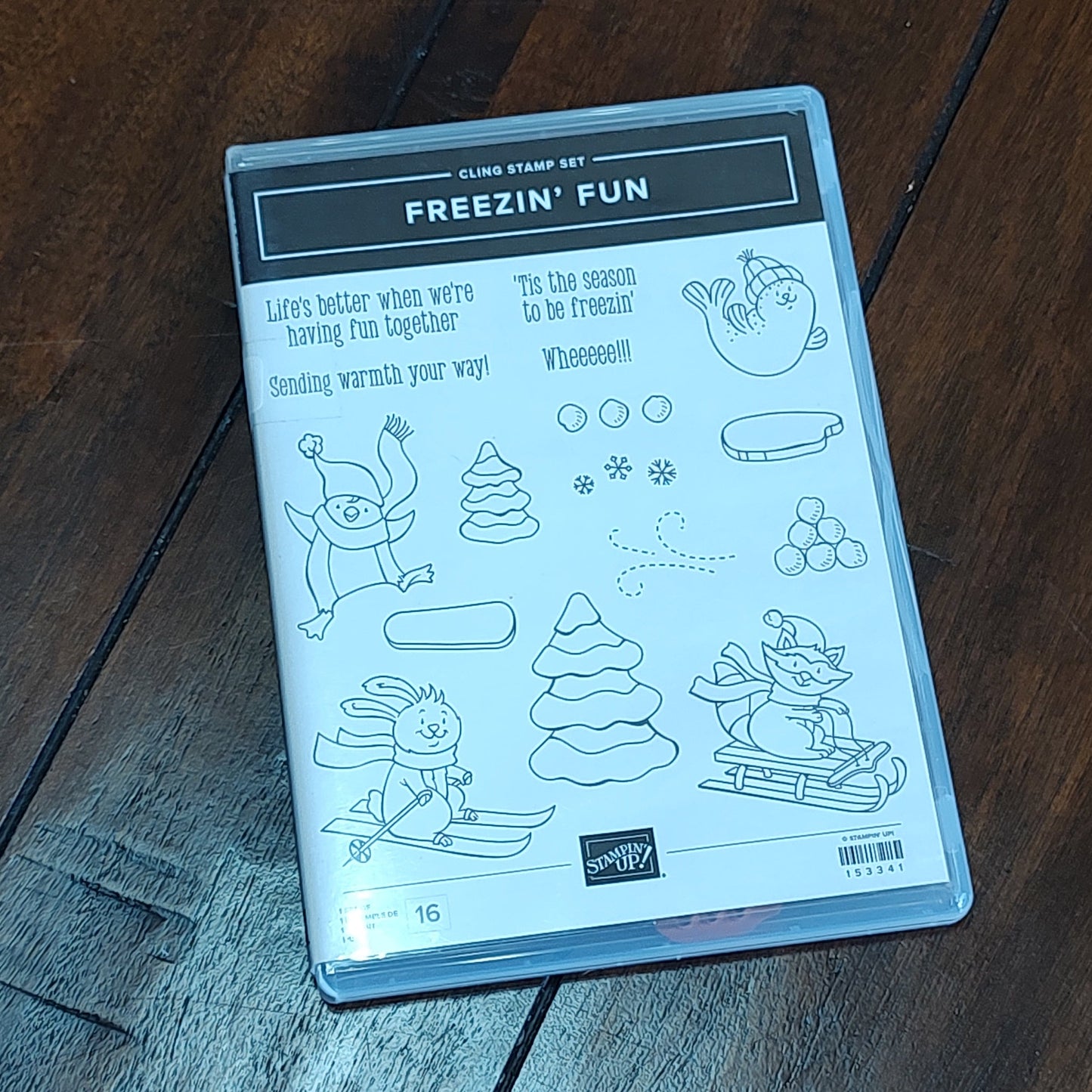 Freezin' Fun