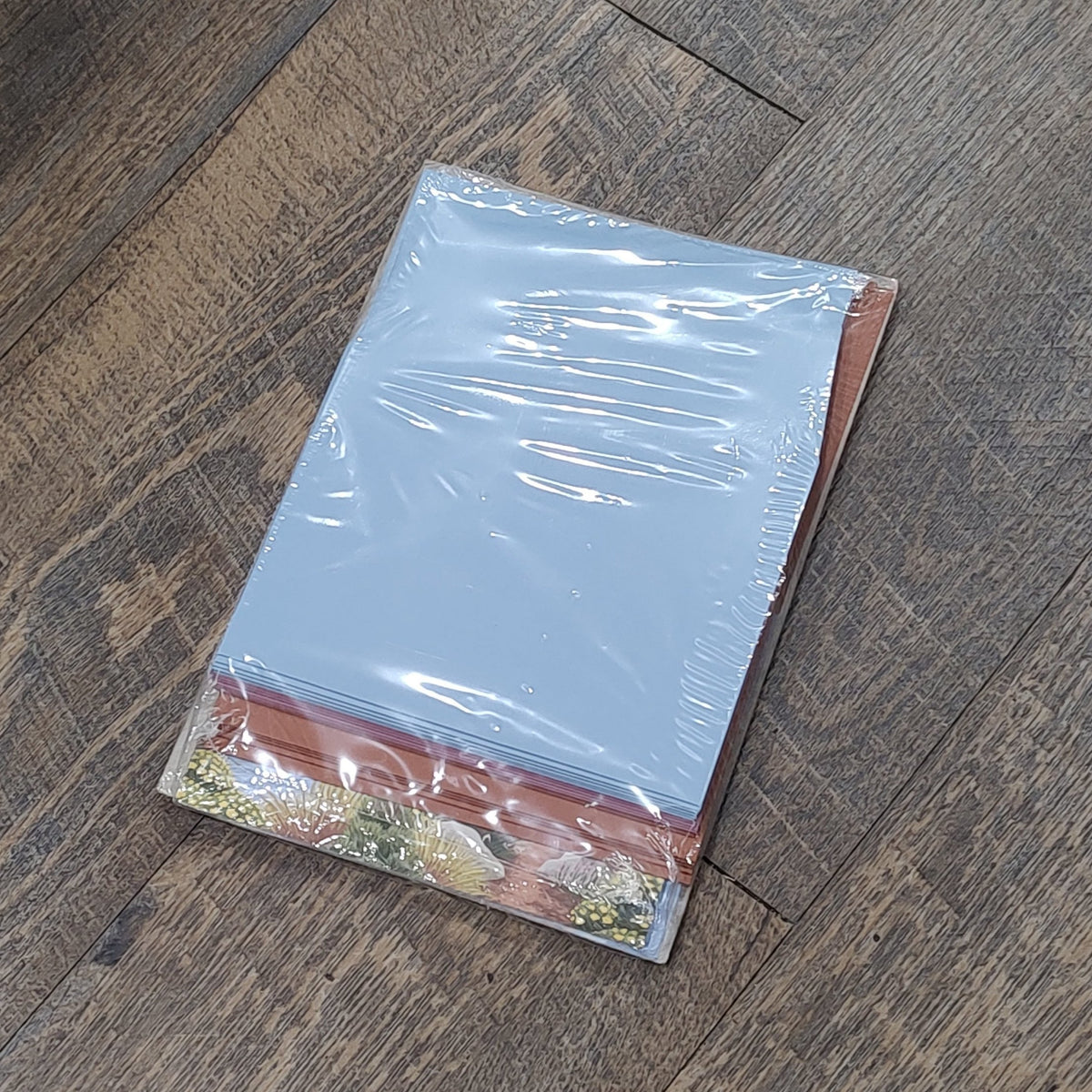 Exploring In Color Cards & Envelopes The Country Hive