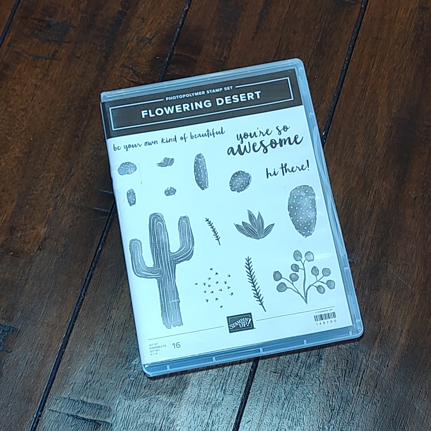 Flowering Desert